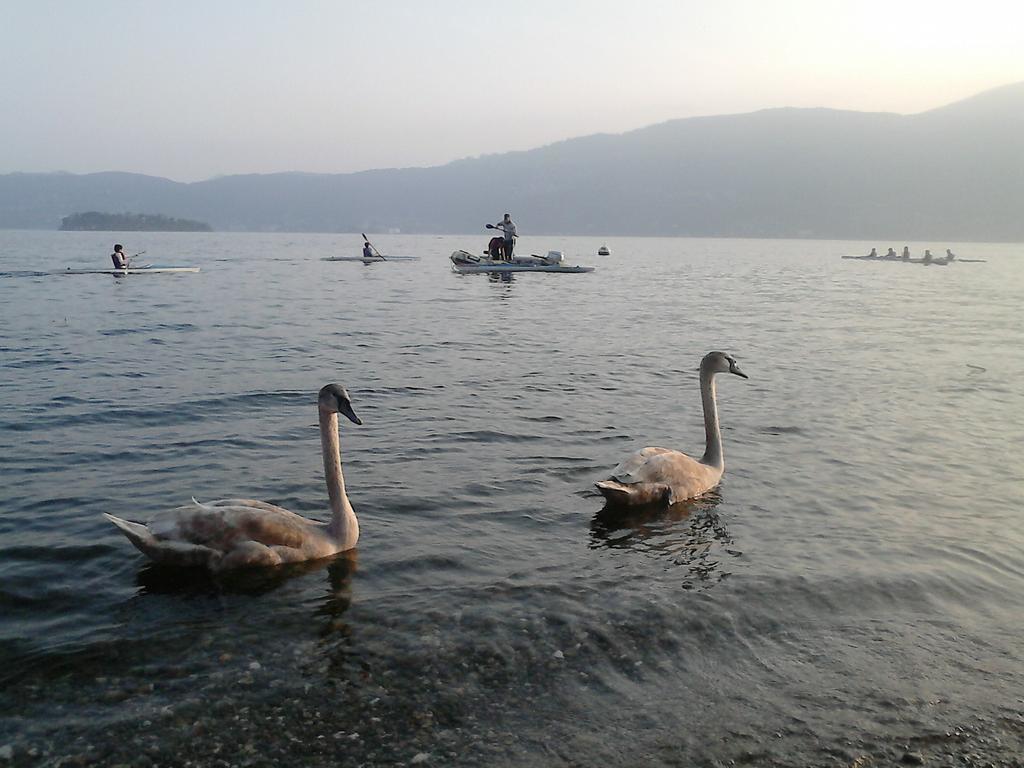 B&B Il Castello Lago Maggiore Con Terrazza Cossogno Екстериор снимка